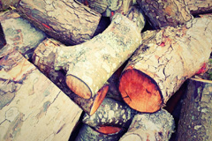 Tasley wood burning boiler costs